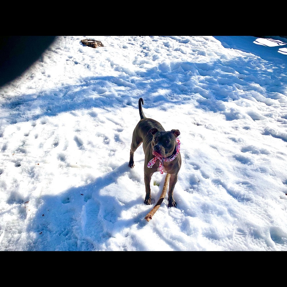 Meet your Posher, Chris